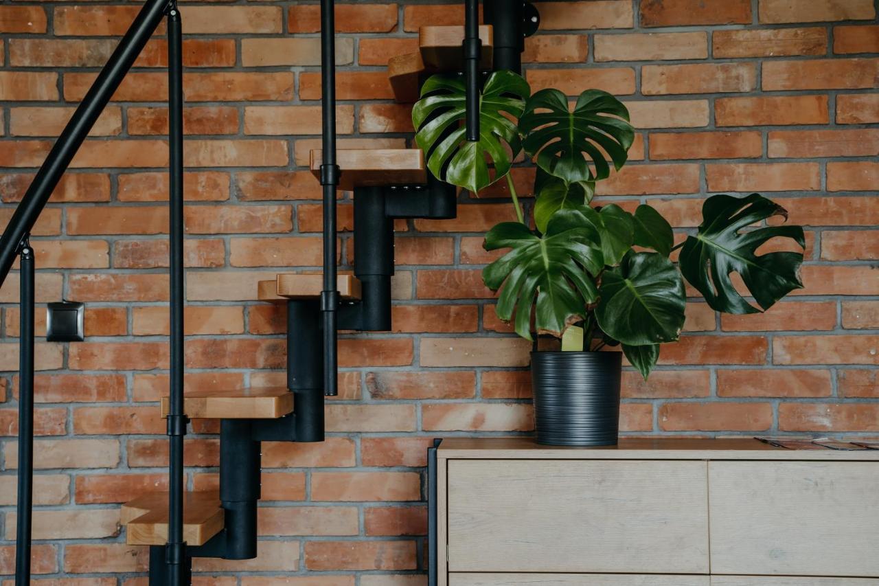 Osada Witow - Apartament „Czerwone Wierchy” Buitenkant foto